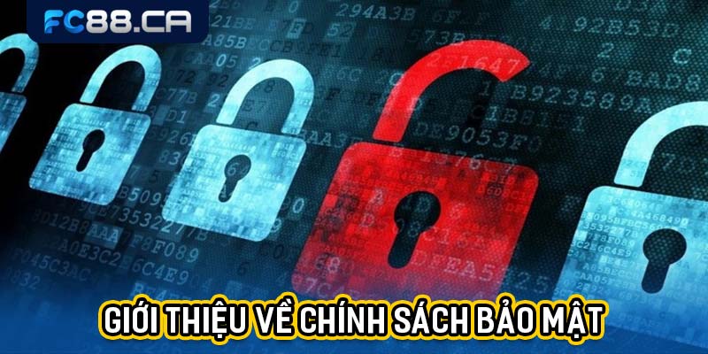 Đôi nét thông tin giới thiệu về chính sách bảo mật