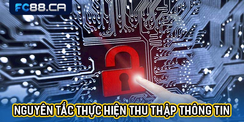 Nguyên tắc thực hiện thu thập thông tin của nền tảng